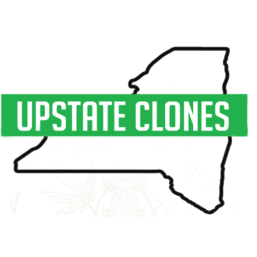 Upstate Clones